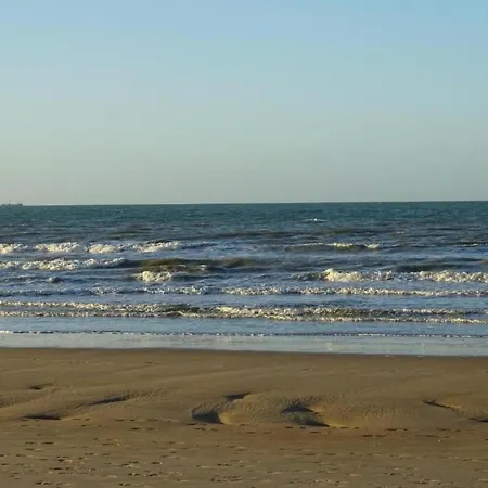 Sunflower 404 With Beautiful Sea Views 니우포르트